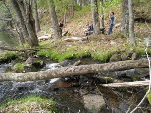 Frontenac Park Scenery Frontenac Park Scenery