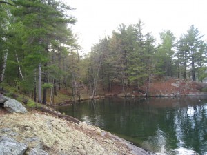 Lake in the Frontenac Park Lake in the Frontenac Park