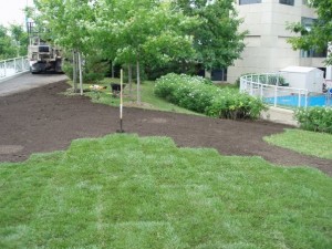 Sodding Step 3 Sodding Step 3